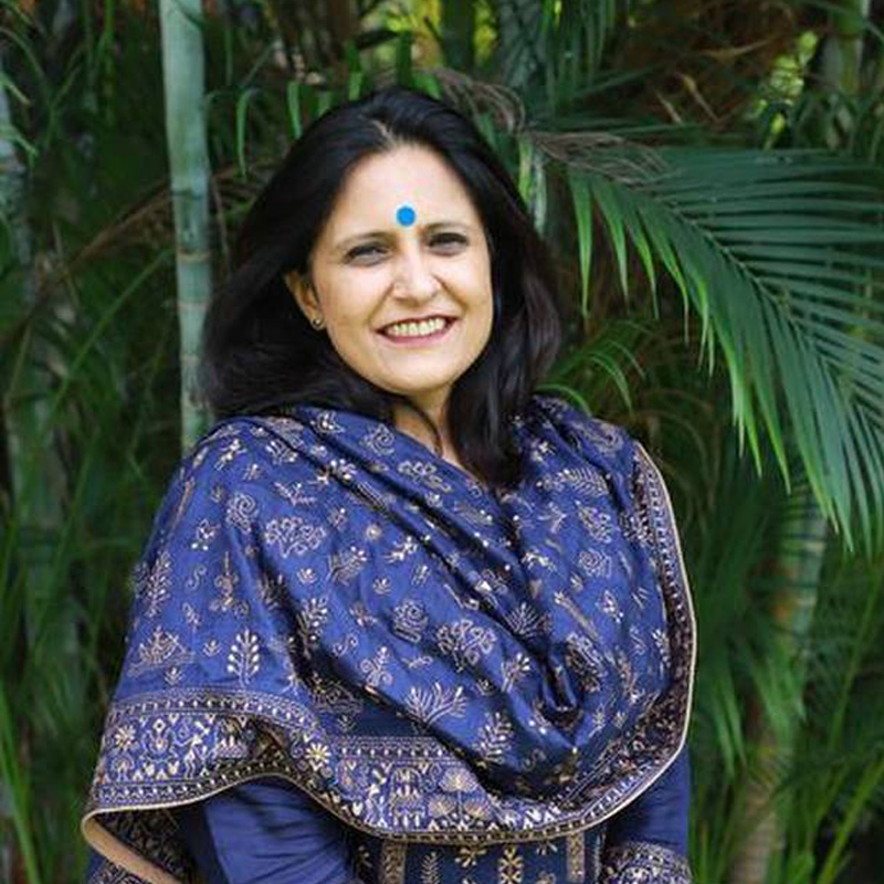 Nicktoons Abhimanyu and Kanha Set to Wow Audiences with their Adventures: Viacom18 head Anu Sikka