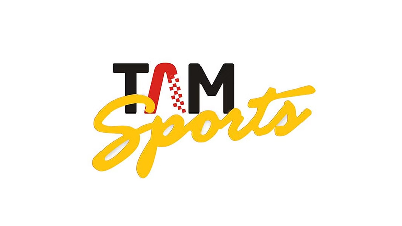TAM Sports: Top advertisers added more than 38 per cent share of ad volumes in IPL 17