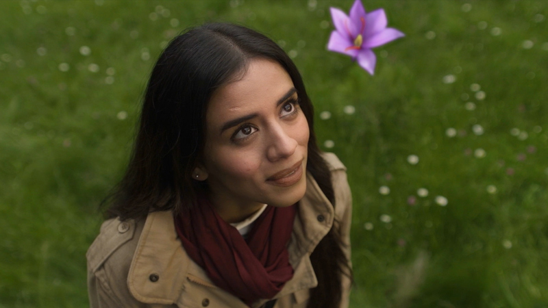 Himalayan brings alive essence of Pure Kashmiri Saffron in its latest Ad