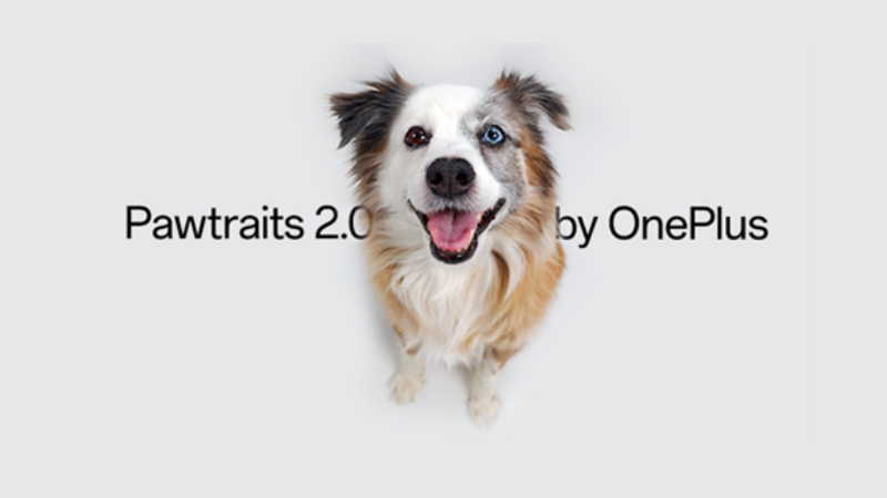 OnePlus celebrates fur babies at Pawtraits 2.0