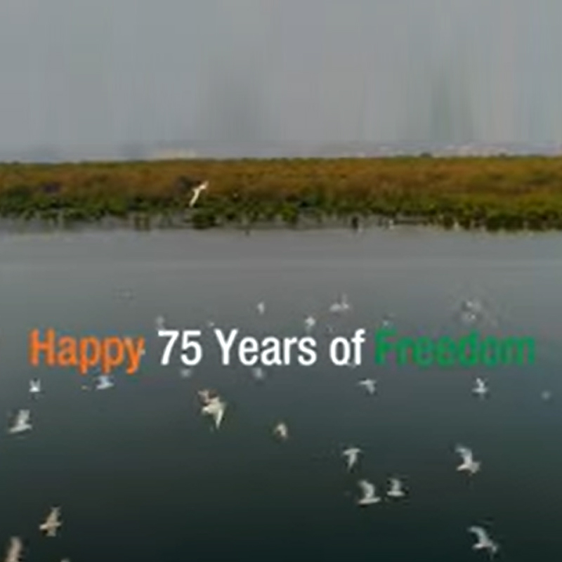 India at 75: Brands pay an ode to the nation