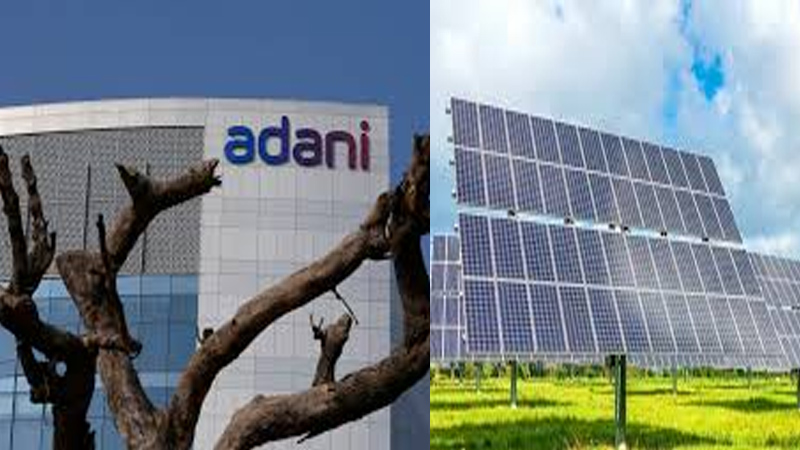 Adani Green Energy’s H1 FY25 revenue soars 20 per cent on capacity expansion