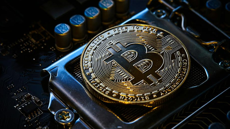 Did Bitcoin Leave Without You? BYDFi Helps You Scout XRP, ADA, and SOL Before They Pop