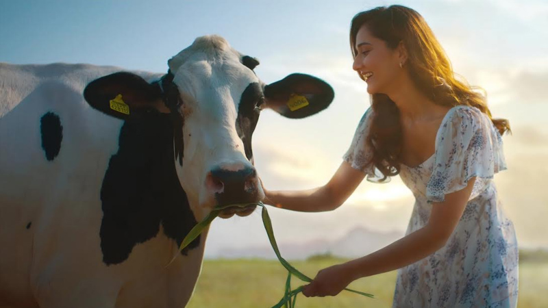 Pride of Cows unveils brand film on single-origin milk