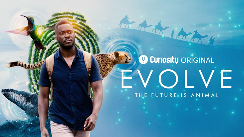 Curiosity brings the entire world of factual entertainment to Telkomsel families