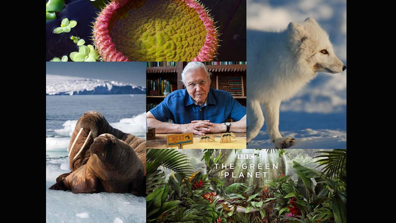 Top shows of Sir David Attenborough to watch on Sony BBC Earth