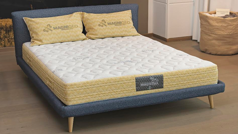 Magniflex India launches Magnigeo