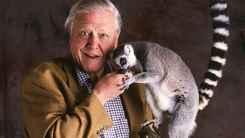 Planet-ary applause as Sony BBC Earth honours Attenborough at 99