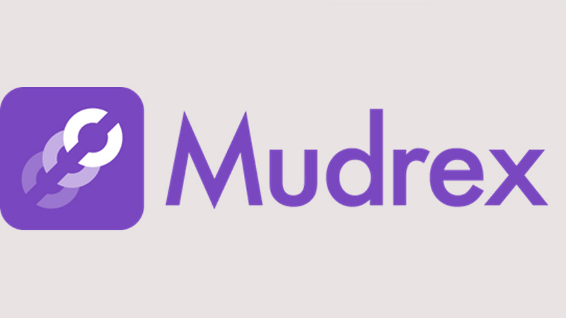 Mudrex wins court order against fraudulent websites