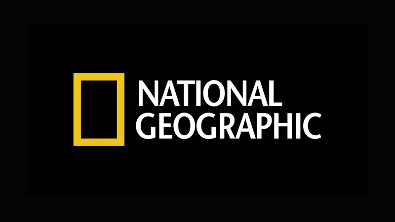 National Geographic shares interesting facts on tigers to mark International Tiger Day 2024