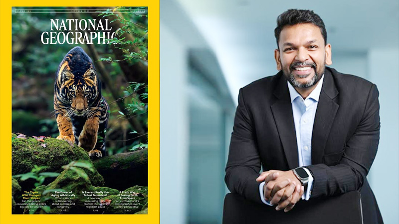 India’s rare black tiger prowls onto National Geographic’s October cover