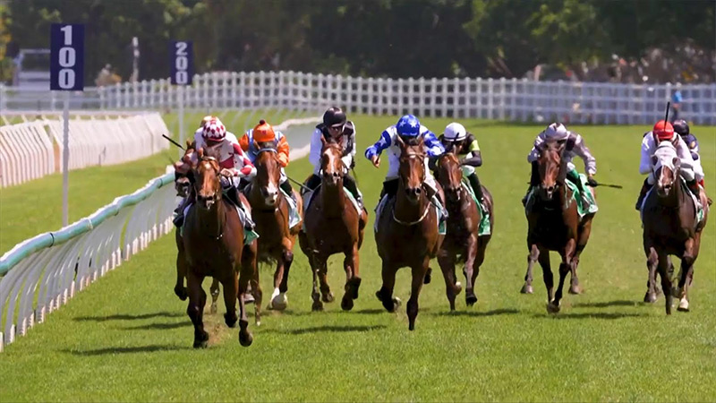 From Trackside to Global Fans: LiveU Transforms Tabcorp – Sky Racing Coverage through Remote Production