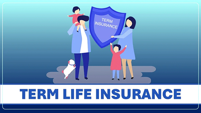 Tax Benefits of ULIP Plans vs. Term Life Insurance: 2025 Update