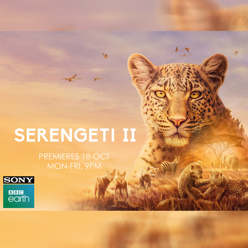 Sony BBC Earth to premiere ‘Serengeti II’ on 18 October