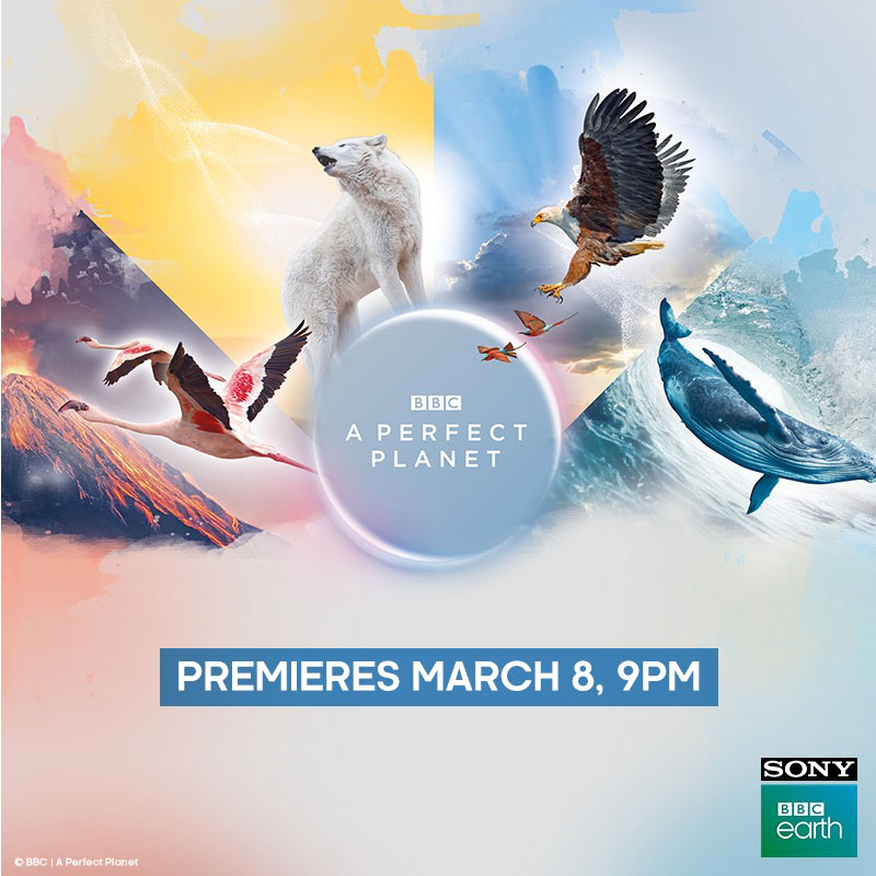 Sony BBC Earth gears up for launch of ‘A Perfect Planet’