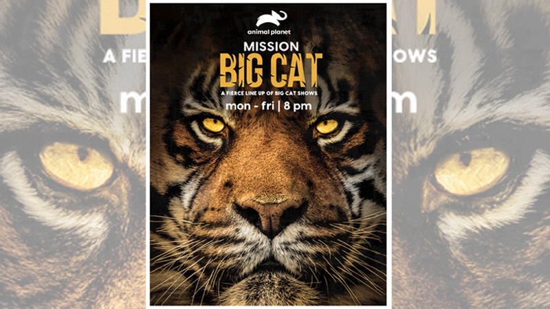 Anurag Kashyap and Gautham Vasudev Menon voice ‘Creative Killers’