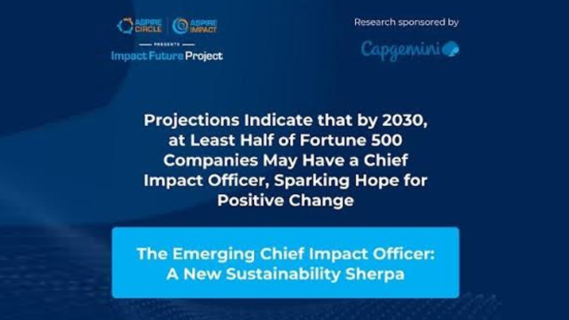 Projections indicate that by 2030, at least half of fortune 500 companies may have a CIO