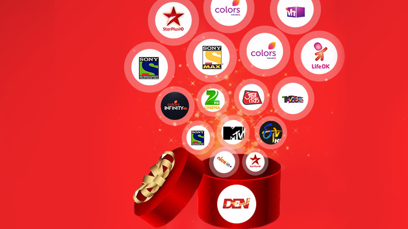 Den Networks struggles with profitability amid revenue declines in Q3 FY25