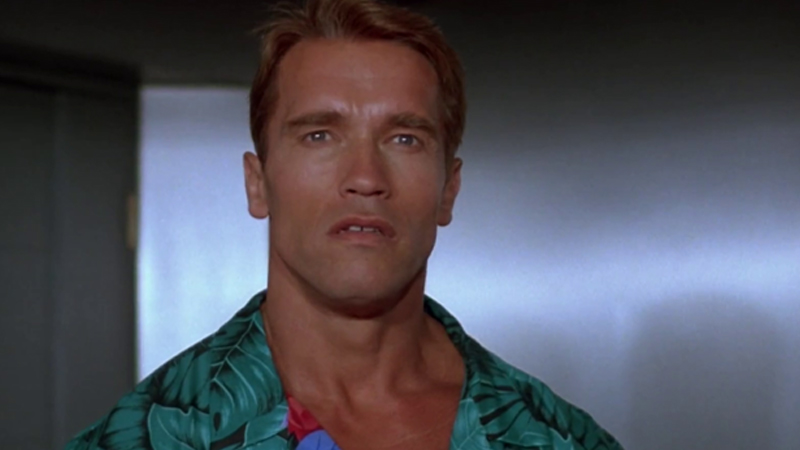 The Best of Schwarzenegger: 10 Films That Turned the Austrian Oak Into a Legend