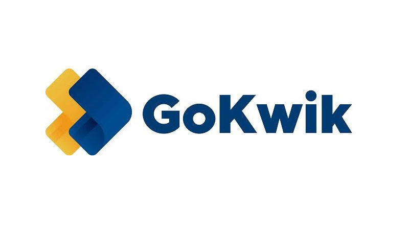 40 per cent increase in D2C festive sales as early trends show strong start – Gokwik report