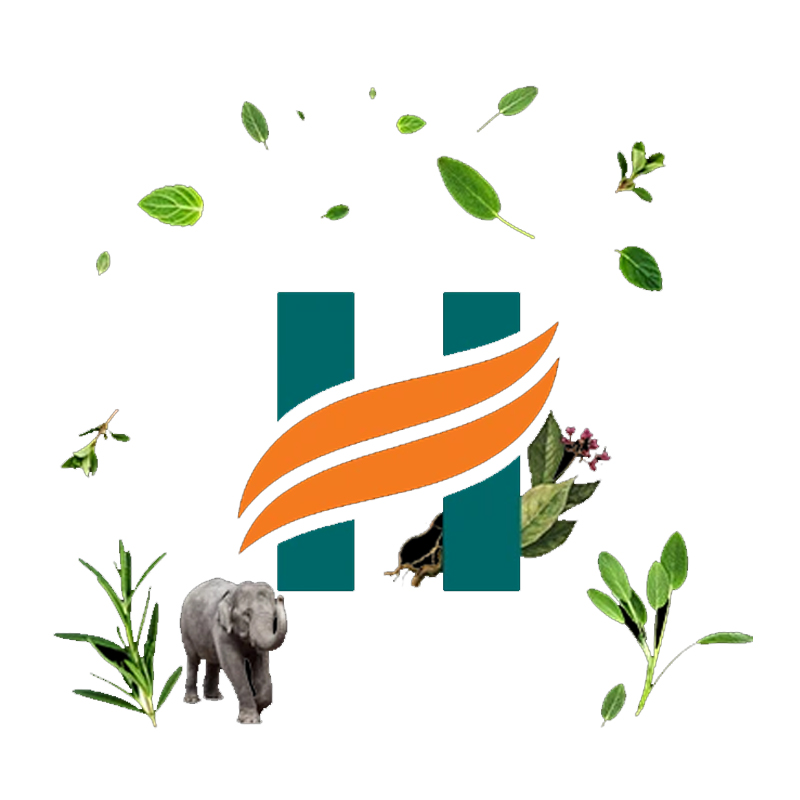 Himalaya Pure Hands launches new TV campaign ‘Let Kids Be Kids’