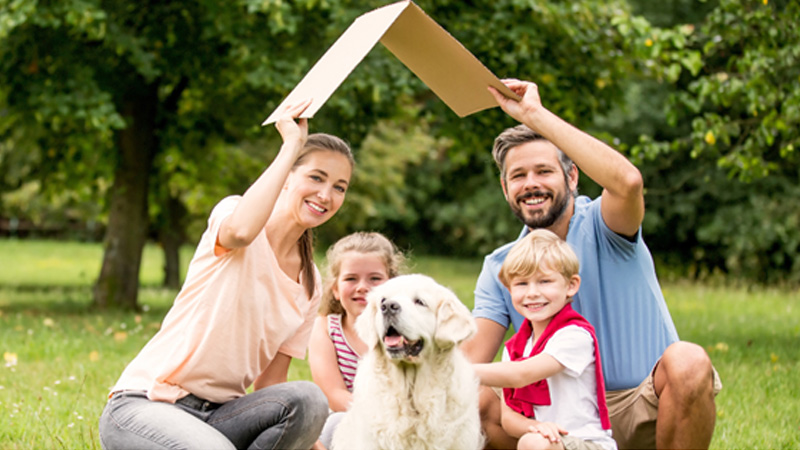 From Script to Security: Protecting Your Family with Life Insurance