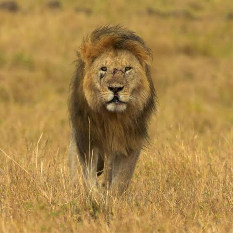 Harbour Rights bolsters summer content lineup with new titles