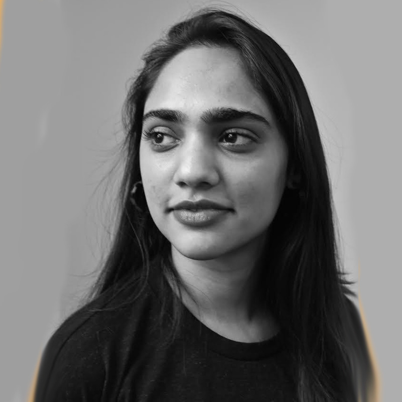 Meera Vaidya and the art of getting on in Hollywood