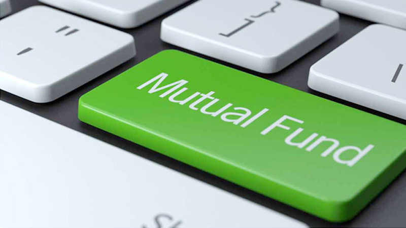 How to identify the top performing mutual funds for your portfolio