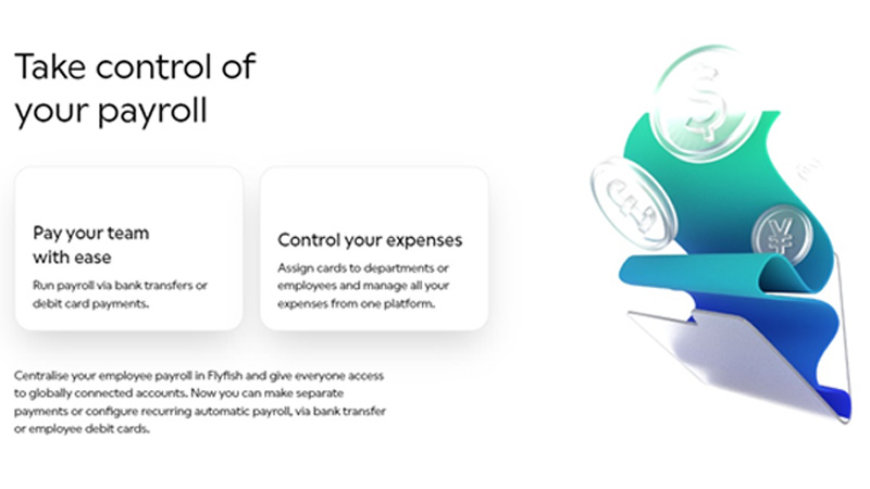 Flyfish Review – Corporate IBAN Services for Corporate Entities