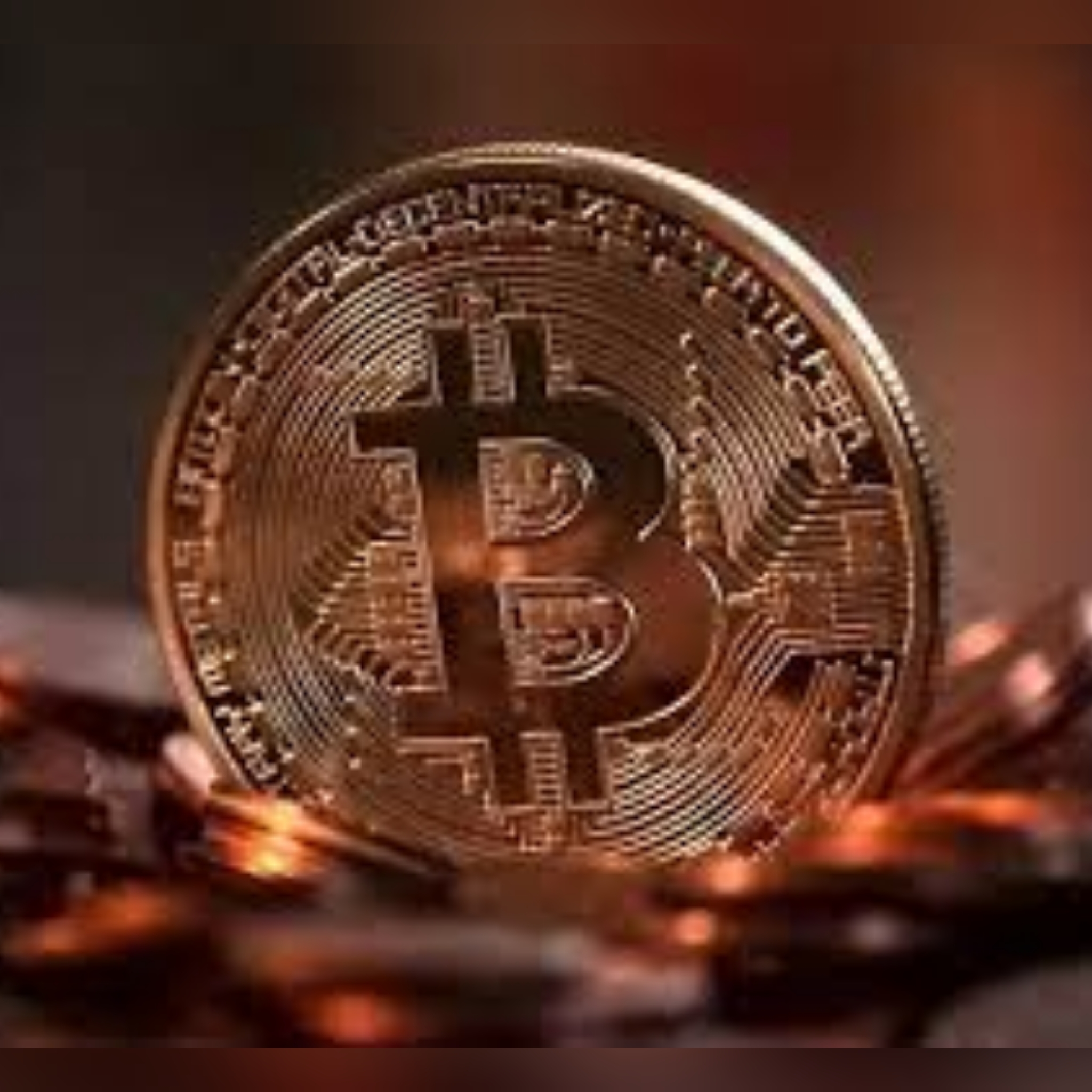 CoinSwitch Kuber assigns digital mandate to HiveMinds