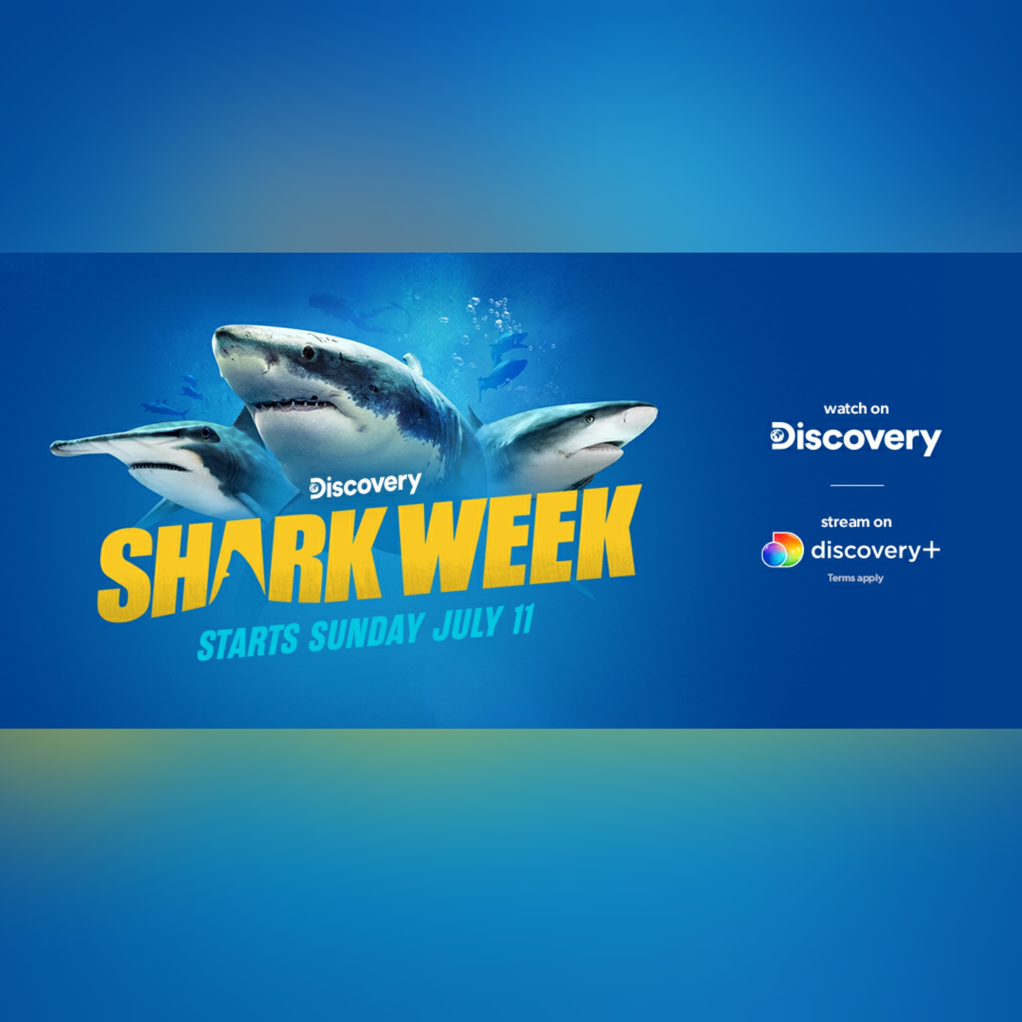 Discovery unveils programming lineup for ‘Shark Week 2021’