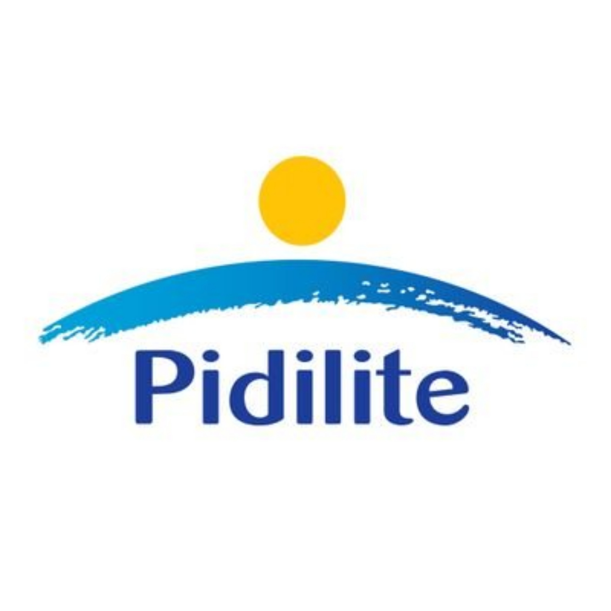 Pidilite onboards Sudhanshu Vats as deputy managing director