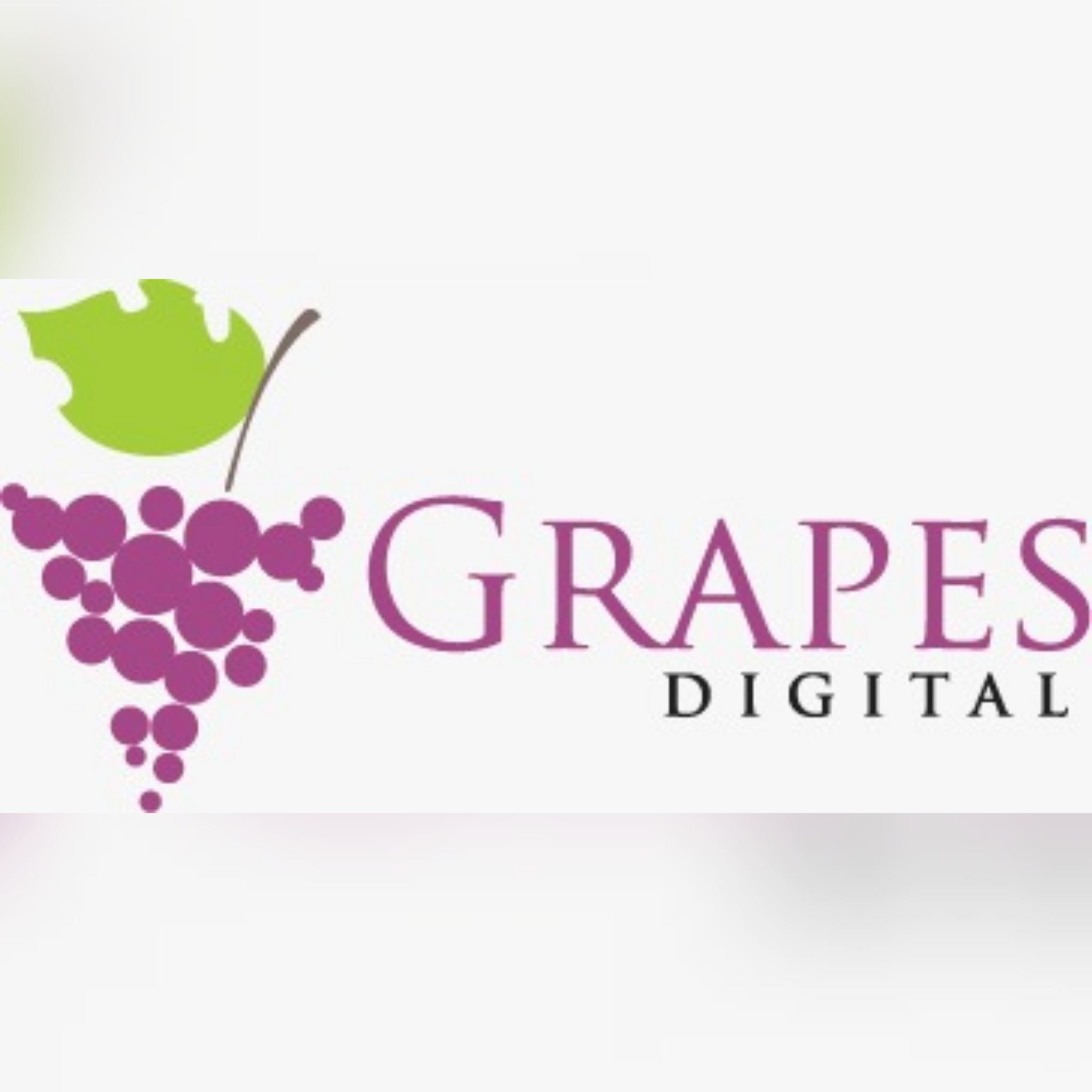 Grapes Digital expands footprint; strengthens team in Bangalore market