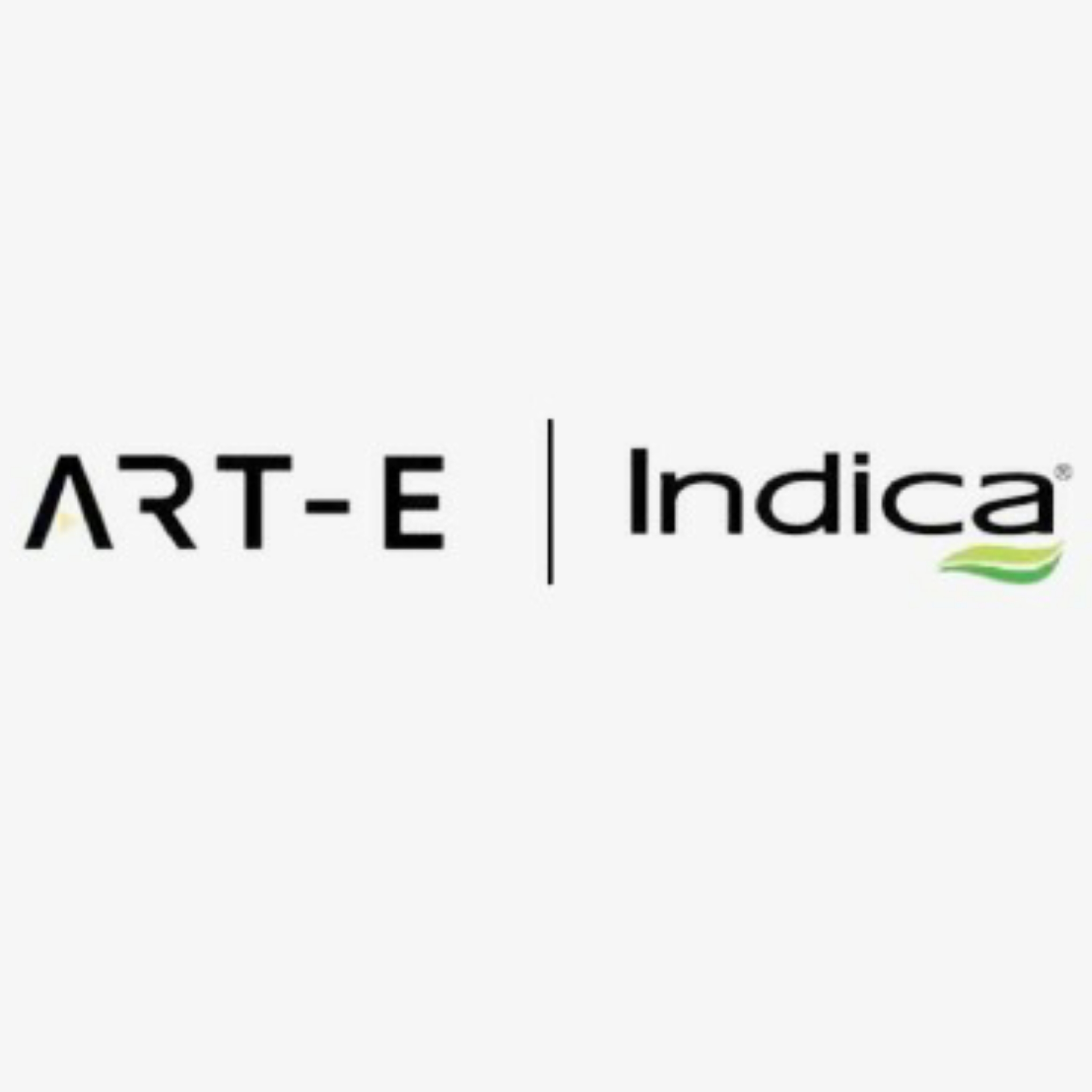 ART-E Mediatech bags creative & digital mandate for Indica
