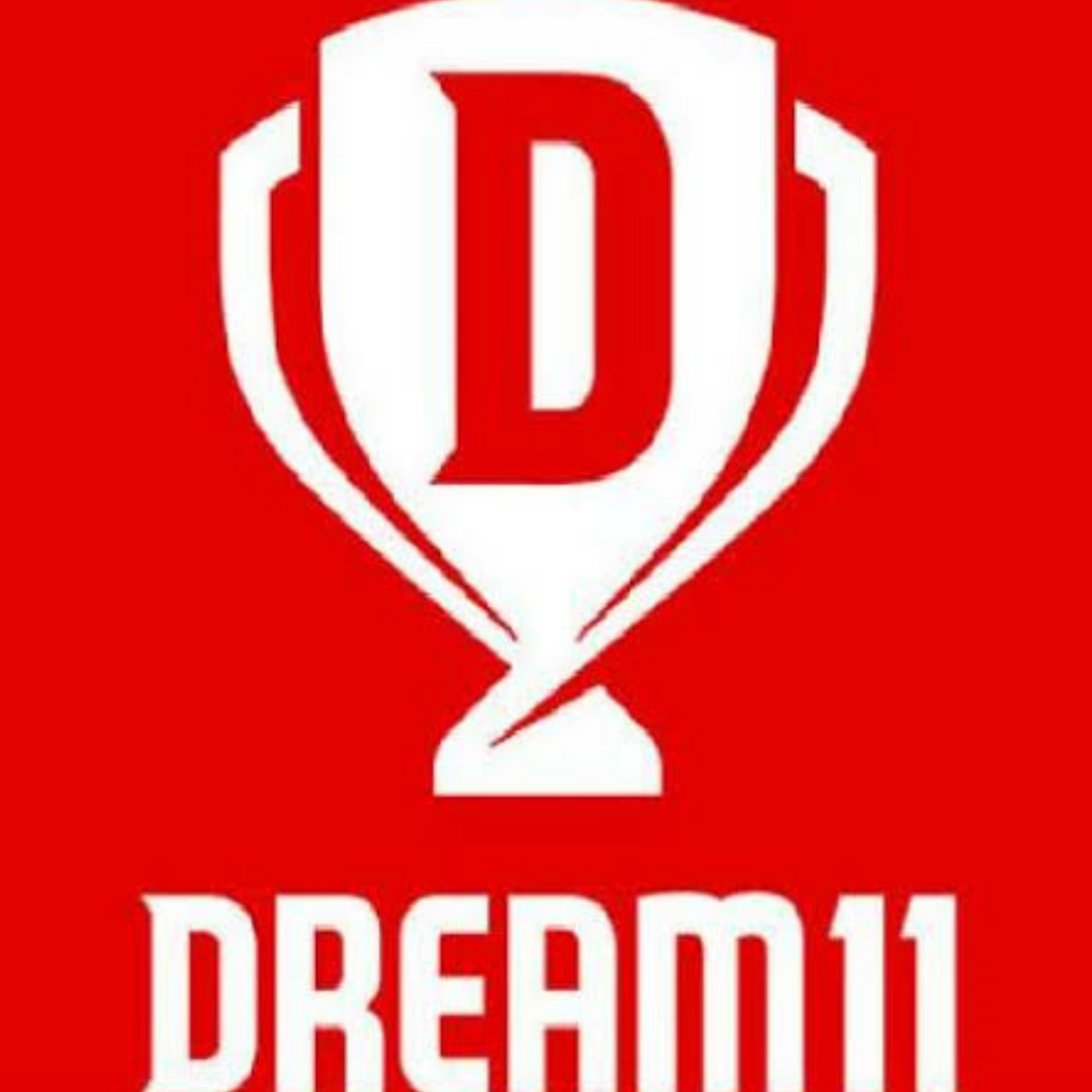 Dream11 halts operations in Karnataka after FIR against founders