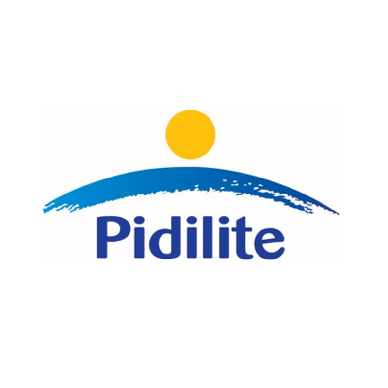 Pidilite unveils quirky pan-India TV commercial launch