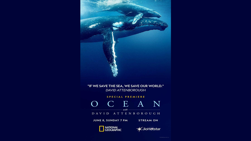 Sea it to believe it David Attenborough dives deep with National Geographic