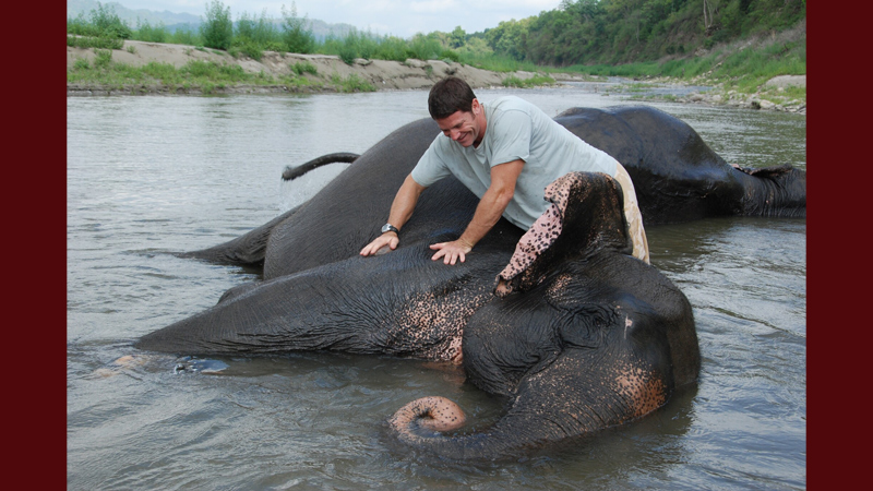 Sony BBC Earth unveils thrilling February lineup