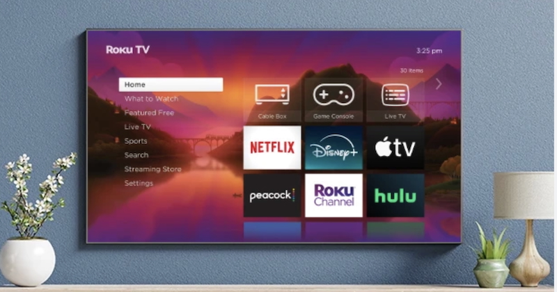 Roku reports strong growth in 2024, surpassing $4bn revenue