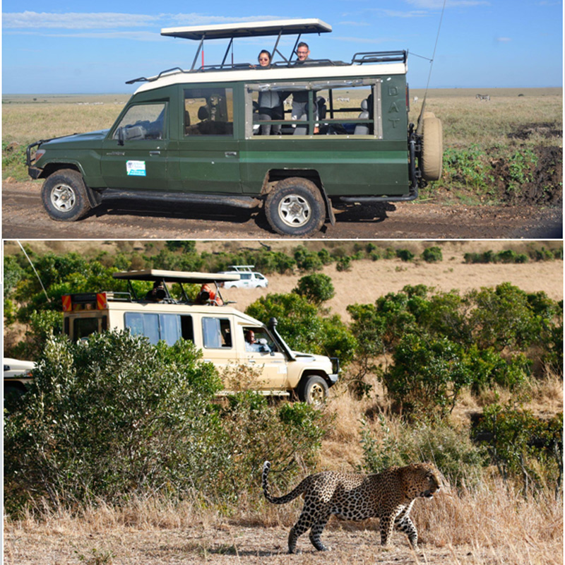 Kenya Safari Packages from India – How to Plan the Best Trip