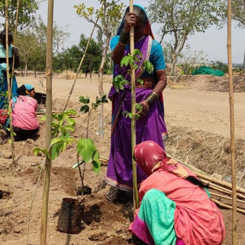 Sony Pictures Networks joins hands with SayTrees for a greener planet