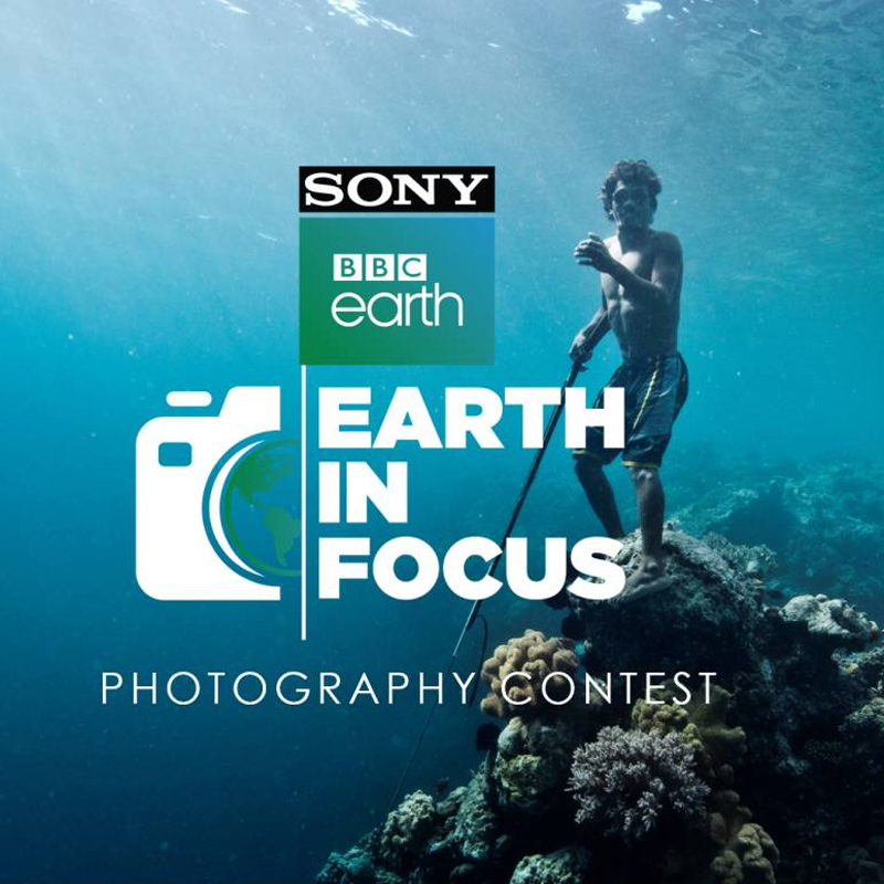 Sony BBC Earth returns with the ‘Earth In Focus’ photography contest
