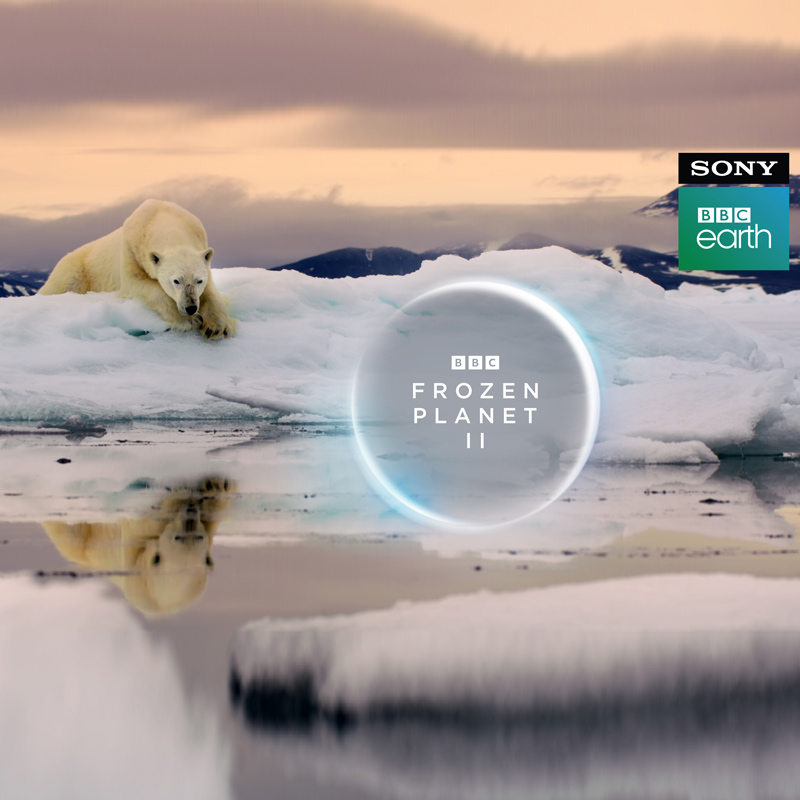 Sony BBC Earth to premiere ‘Frozen Planet’ in India