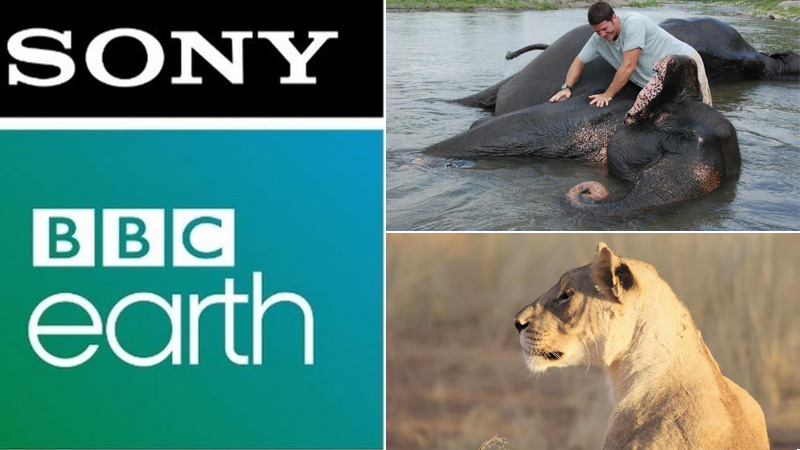 Seven shows to watch on Sony BBC Earth as the channel turns seven