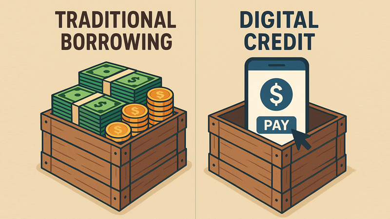Traditional Borrowing vs. Digital Credit: What Has Really Changed?