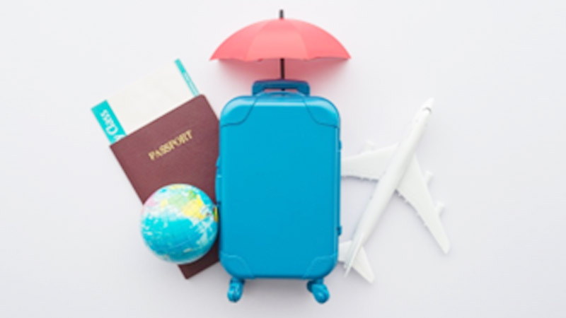 Understanding Baggage Insurance in Travel Insurance in Detail