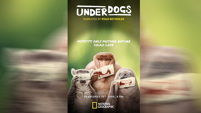 Ryan Reynolds backs the beasts no one bets on in National Geographic’s ‘Underdogs’