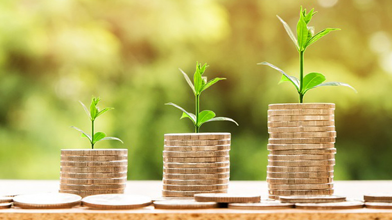 Benefits of PNB Housing Finance Fixed Deposits: A Complete Overview