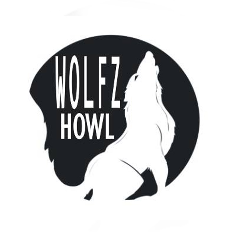U-TO onboards Wolfzhowl Strategic Instigation as business strategy partner